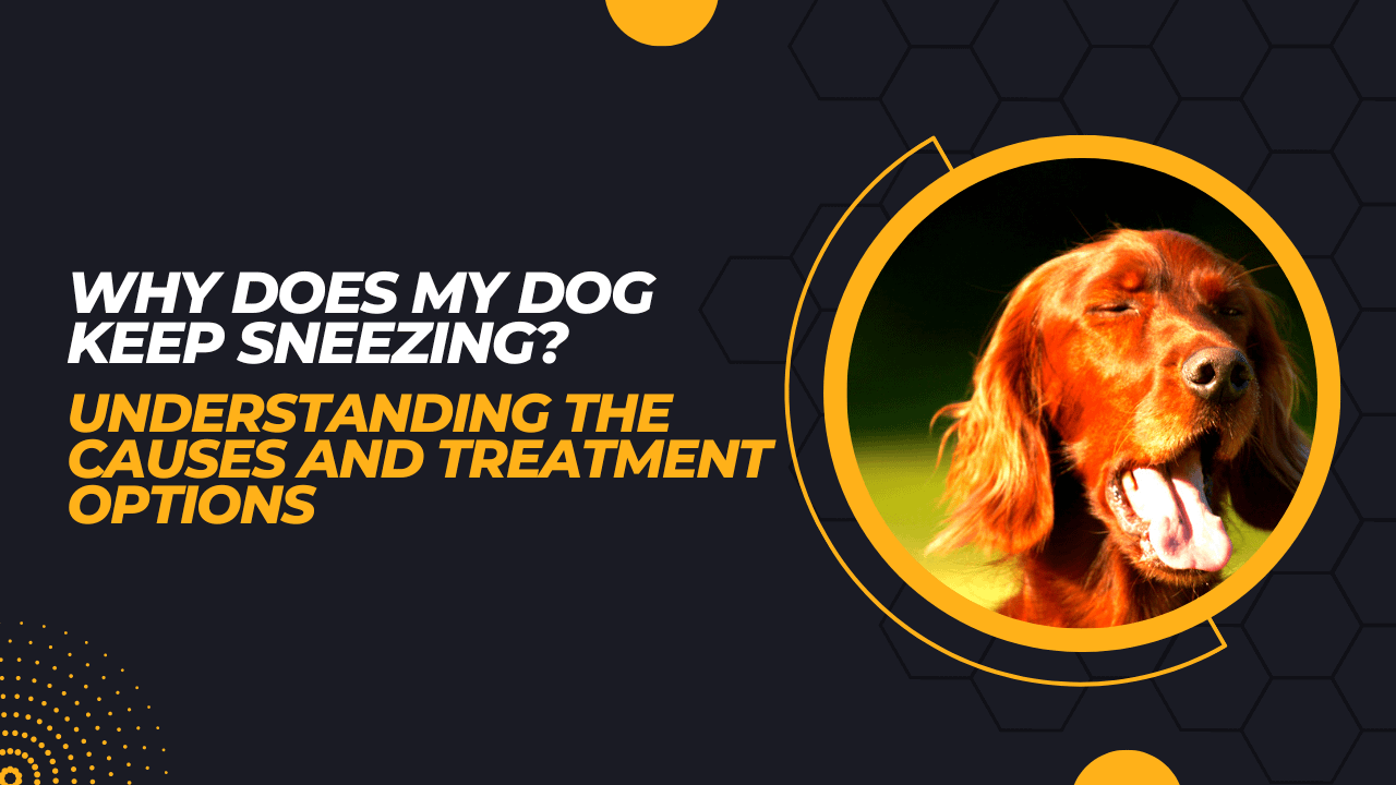 why-does-my-dog-keep-sneezing-understanding-the-causes-and-treatment