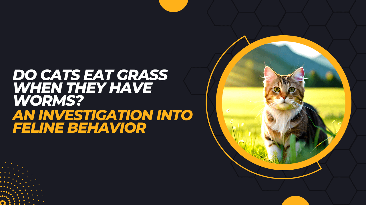 Do Cats Eat Grass When They Have Worms Our Pets And Friends